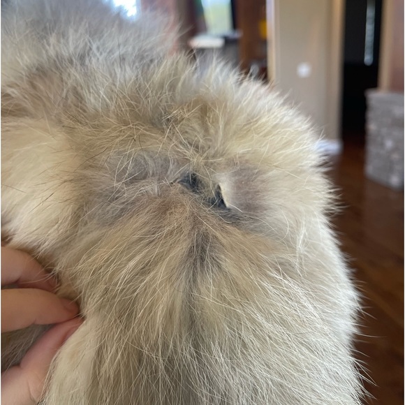 SOLD - Picture 11 of 11